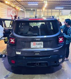 جيب رينيجيد